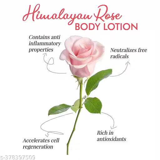 Dravida Organics Rose Body Lotion Long-Lasting Moisturization